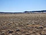 Lot TBD Rural Las Animas County - Photo 17