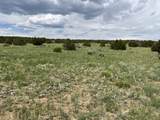 TBD Cr 521.3 - Photo 23