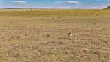 Lot 210 Colorado Land And Livestock - Photo 11