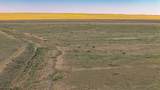 Lot 210 Colorado Land And Livestock - Photo 4