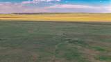 Lot 210 Colorado Land And Livestock - Photo 5