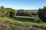 TBD La Veta Pines Ranches Rd - Photo 1