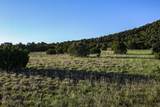 TBD La Veta Pines Ranches Rd - Photo 12