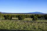 TBD La Veta Pines Ranches Rd - Photo 13