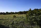 TBD La Veta Pines Ranches Rd - Photo 14