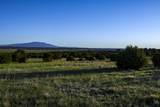 TBD La Veta Pines Ranches Rd - Photo 3