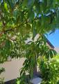 1628 Routt Ave - Photo 40