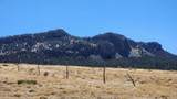 Lot 291 Black Hills #2 - Photo 1