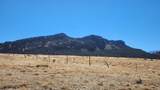 Lot 291 Black Hills #2 - Photo 7