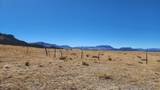 Lot 291 Black Hills #2 - Photo 8