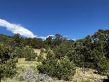  Lot 246 Unit Cc-2 Cl&G Ranch - Photo 18