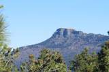 36282 Lodgepole Trace - Photo 10