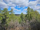 36282 Lodgepole Trace - Photo 14