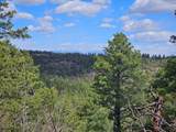 36282 Lodgepole Trace - Photo 15