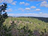 36282 Lodgepole Trace - Photo 16