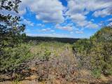 36282 Lodgepole Trace - Photo 17