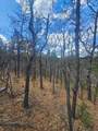 36282 Lodgepole Trace - Photo 18