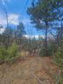 36282 Lodgepole Trace - Photo 19