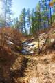 36282 Lodgepole Trace - Photo 8