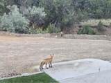 11799 County Rd 73.2 - Photo 4