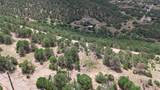 11771 Diamond View Road - Photo 5