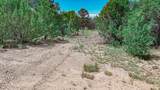 11771 Diamond View Road - Photo 7