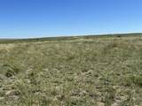 284 Black Hills Ranch #2 - Photo 5