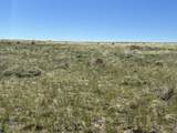 284 Black Hills Ranch #2 - Photo 6