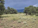 TBD Co Rd 634 - Photo 25