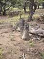 TBD Co Rd 634 - Photo 26