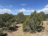 447 Rio Cucharas Phs 2 - Photo 15