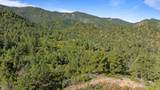 TBD Twin Creek Road - Photo 6