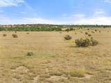 TBD Turkey Ridge - Photo 4