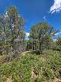 7111 Pinon Ct - Photo 20