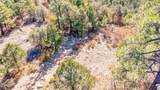 14341 Northridge - Photo 48