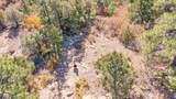 14341 Northridge - Photo 49