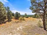 TBD Mannel Rd - Photo 8