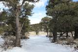 7302 Tiernan Rd - Photo 11