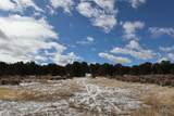 7302 Tiernan Rd - Photo 13
