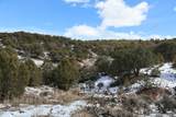 7302 Tiernan Rd - Photo 21