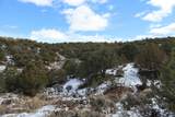 7302 Tiernan Rd - Photo 23