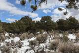 7302 Tiernan Rd - Photo 35