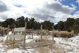 7302 Tiernan Rd - Photo 36