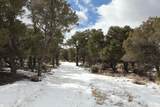 7302 Tiernan Rd - Photo 38