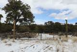 7302 Tiernan Rd - Photo 39
