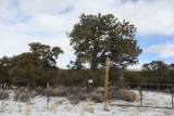 7302 Tiernan Rd - Photo 42