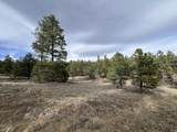 20127 Blue Jay Lane - Photo 11