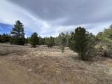 20127 Blue Jay Lane - Photo 12