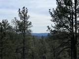 20127 Blue Jay Lane - Photo 13