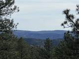 20127 Blue Jay Lane - Photo 14